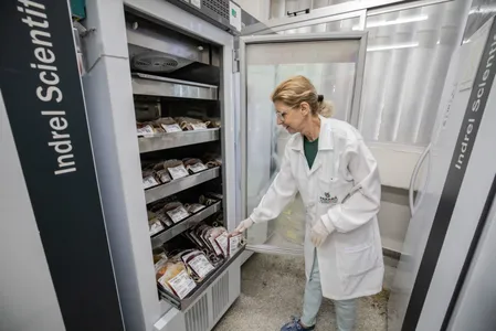 Medida visa garantir estoques par ao final de ano