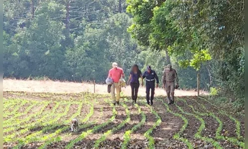 Mulher de Goiás é resgatada em mata no PR a 1,1 mil km de casa