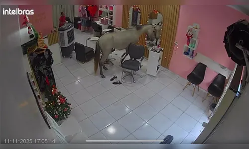 Cavalo entra em salão para se 