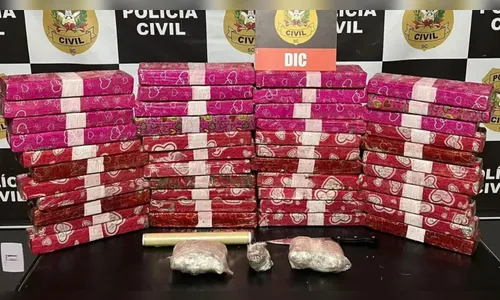 PC desmantela tráfico que entregava drogas em pacote de presente em SC
