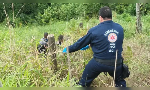 Trabalhador morre picado por inseto enquanto instalava internet em SC