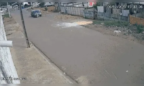 Motorista bêbado atropela e arrasta criança de 9 anos no PR; vídeo