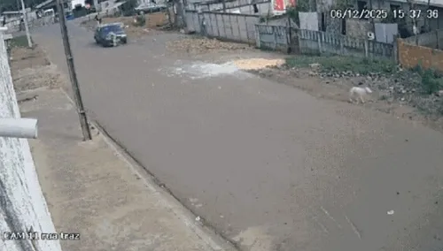 O acidente ocorreu na tarde de sábado (6)