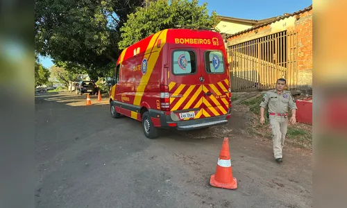 Bebê fica ferido após ser mordido por cachorro em Apucarana