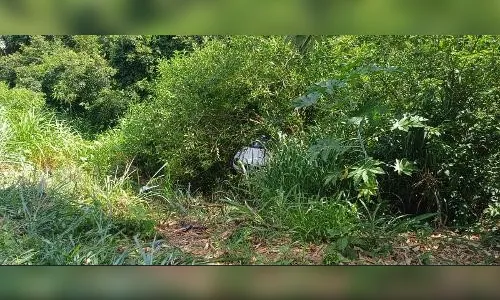 Carro cai de ribanceira após cachorro engatar ré acidentalmente no PR