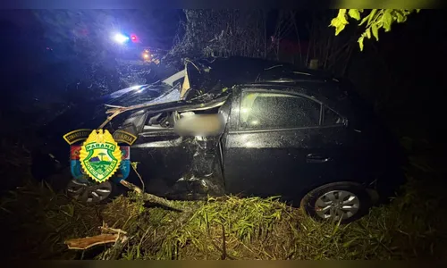 Motorista de 51 anos morre após carro bater em árvore no Paraná