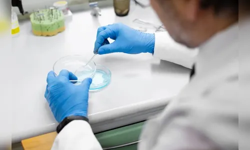 Como é feito o toxicológico agora obrigatório para categorias A e B