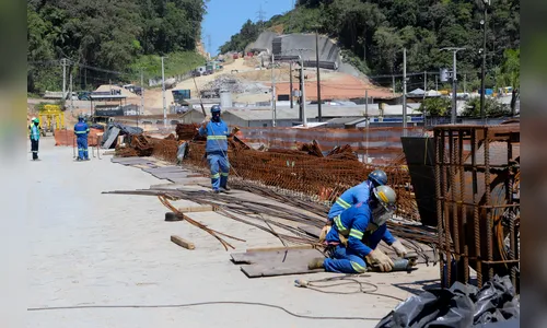 De produção a agroindústria: Paraná registra 23 mil vagas de emprego
