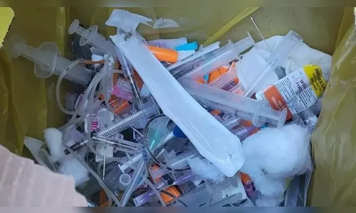 Garis se ferem com agulhas e empresária é indiciada em SC