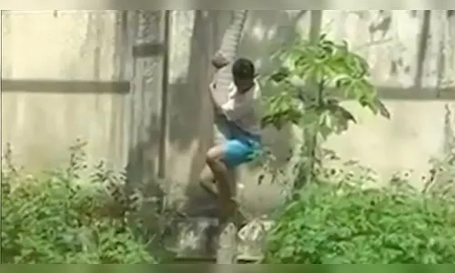 IML divulga causa da morte de jovem atacado por leoa em João Pessoa