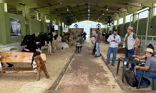 Torneio Leiteiro da Expovale beneficia famílias atingidas pelo tornado