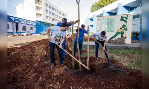 'Apucarana mais Verde e Sustentável' prevê plantio de 4 mil árvores