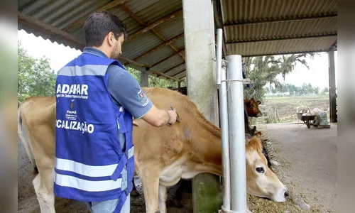 Adapar mantém vigilância e reforça vacinação contra raiva no campo