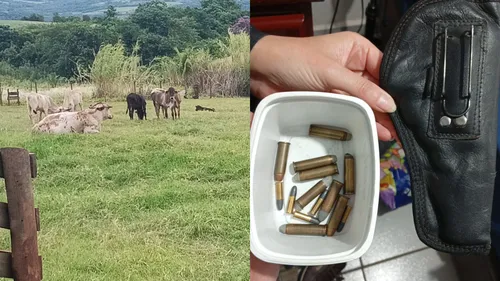 Operação Boi do Ivaí foi deflagrada nesta quarta-feira