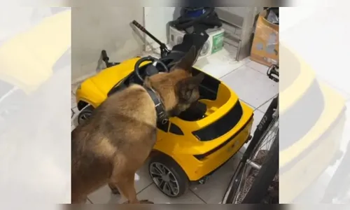 Droga escondida em carrinho elétrico de criança acaba em prisão em SC