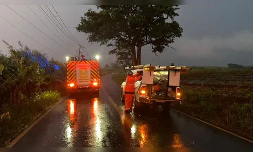 Bombeiros socorrem motorista após queda de postes em Apucarana