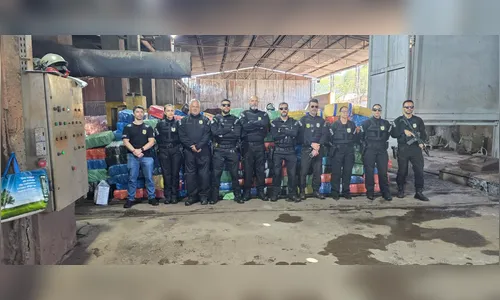 Polícia Civil de Apucarana incinera cinco toneladas de maconha