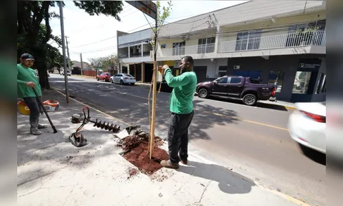 Apucarana inicia ações do programa Mais Verde e Sustentável