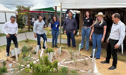 Projeto de plantas medicinais na Fazendinha da Expovale chama atenção