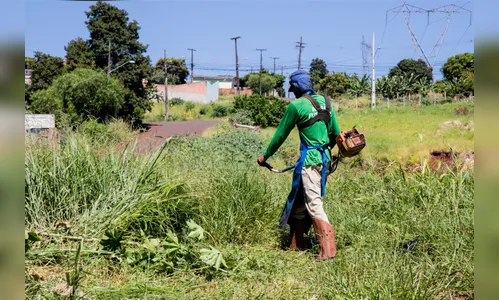 Prefeitura intensifica roçagem e limpeza de terrenos particulares