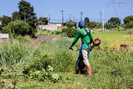 Roçagem e limpeza em terrenos particulares com mato alto