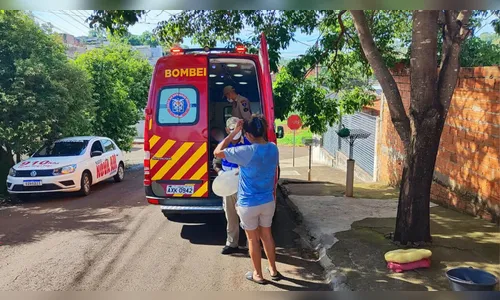 Tutor é atacado pelo próprio cachorro e socorrido pelos bombeiros
