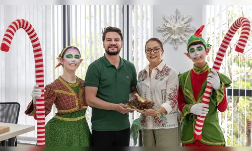 Arapongas lança programação do Natal Encantado 2025