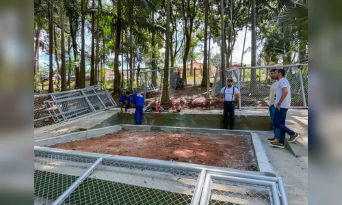 Prefeitura inicia montagem de novos viveiros no Bosque Municipal