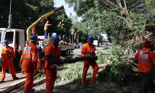 Após vendaval, mais de 1,5 milhão de imóveis seguem sem energia em SP