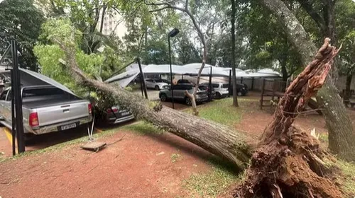 Ventania em SP: 1,2 milhão de imóveis estão sem luz