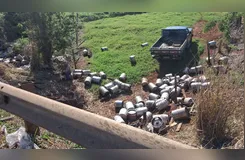 Trânsito, velocidade e ausência de barreiras: os perigos da PR-444