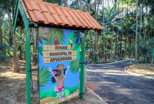 Bosque Municipal, uma história de mais de 60 anos