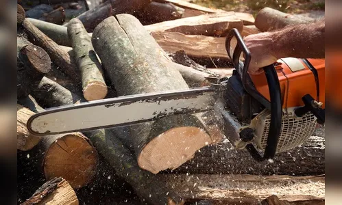 Filho tenta matar o próprio pai de 94 anos com motosserra em SC