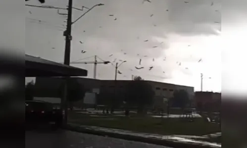 Tornado atinge o Paraná e deixa rastro de destruição em São José dos Pinhais