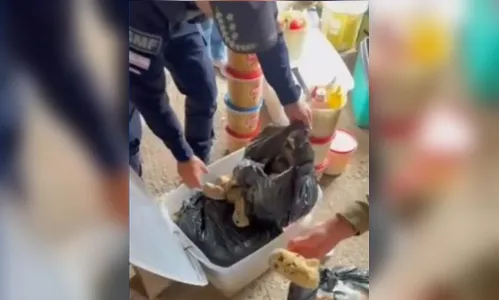 Fiscalização interdita cozinha clandestina com baratas e alimentos embaixo de cama em praia de SC