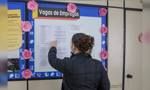 Busca por emprego em Apucarana registra aumento de 30%