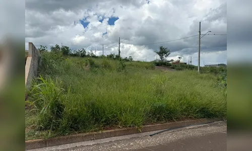 Prefeitura de Cambira notifica proprietários para limpeza de 82 terrenos