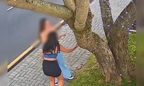 Meninas são flagradas destruindo decoração natalina no Paraná