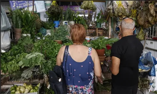 Tradição e fé impulsionam busca por banhos e ervas no fim de ano