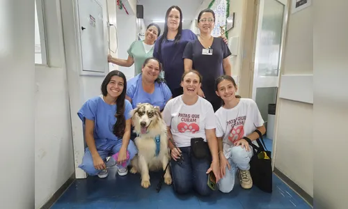 Cão terapeuta leva alegria aos pacientes e à equipe do Hospital da Providência Materno Infantil