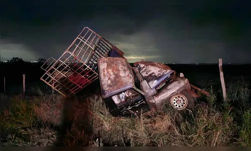 Acidente deixa caminhonete destruída na descida do Fitz, PR-466