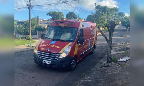 Idosa é atacada por cão de grande porte em bairro de Apucarana