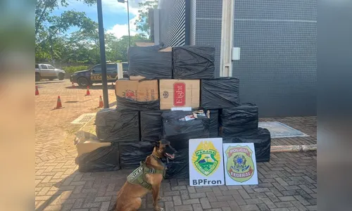 Forças de segurança apreendem R$ 36 mil em cigarros contrabandeados