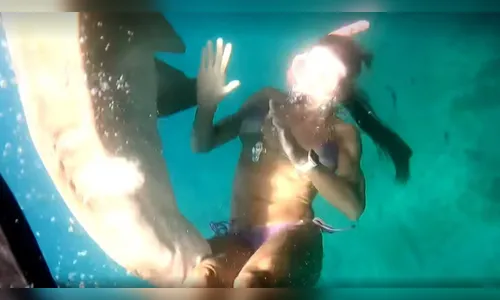 Turista é mordida por tubarão-lixa durante mergulho em Fernando de Noronha