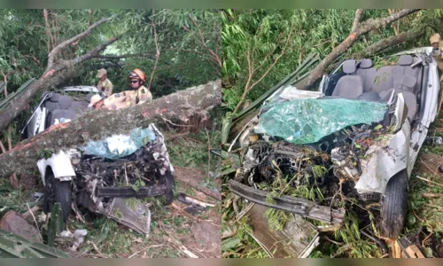 Motorista cai em ribanceira e fica mais de 12 horas preso no carro em Apucarana