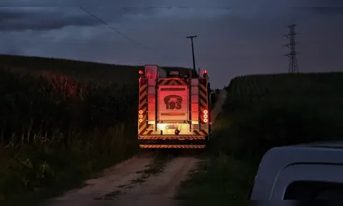 Idoso é socorrido de helicóptero em estado grave após ataque de abelhas no PR