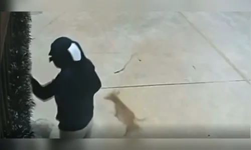 Cão 'entrega' esconderijo e suspeito de assalto é preso; veja o vídeo