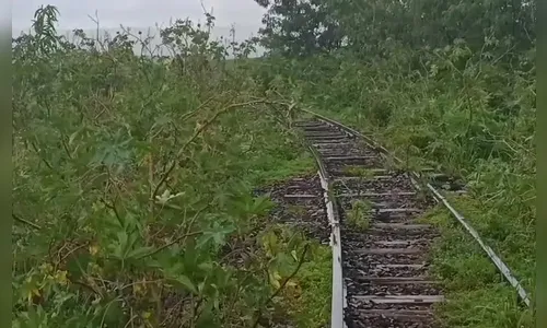Corpo com ferimentos é achado na divisa Londrina-Ibiporã