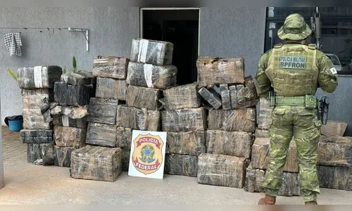 Polícia apreende quase 1,5 tonelada de maconha no Paraná