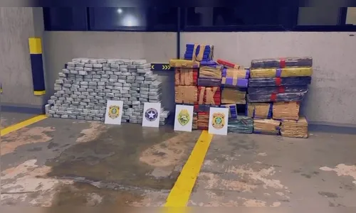 Operação conjunta apreende 437 kg de drogas e prende três suspeitos na BR-369